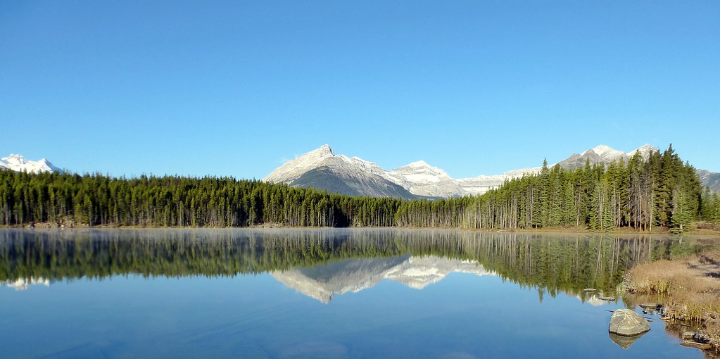 Herbert Lake