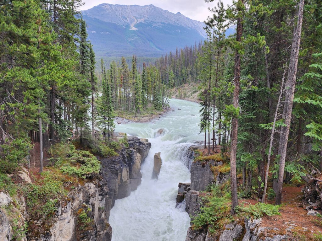 Sunwapta Falls