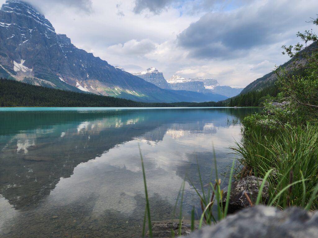 waterfowl lake